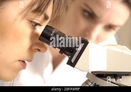 Étudiant en sciences utilisant un microscope pour analyser des échantillons biologiques. Banque D'Images