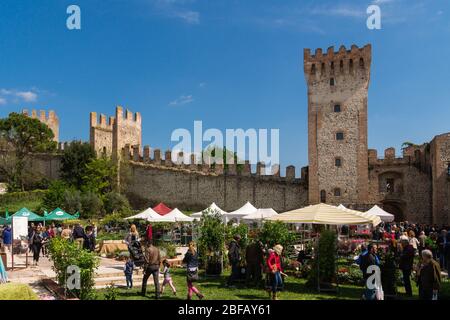 Blumenfest à Este, Provin Padoue, Venetien, Italien, Europa Banque D'Images