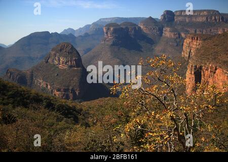 Magnifique panorama sur le canyon de la rivière Blyde (Afrique du Sud) avec les trois célèbres rondavels en arrière-plan, en hiver (juillet) Banque D'Images