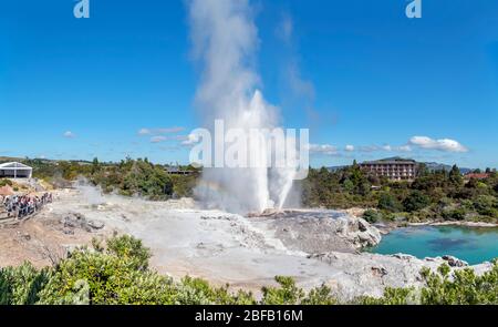 Pōhutu Geyser, te Puia, te Whakarewarewa Geothermal Valley, Rotorua, Nouvelle-Zélande Banque D'Images