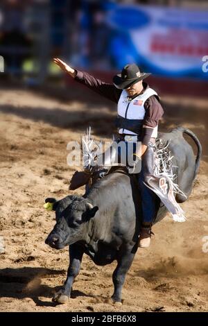 Modèle libéré cow-boy hawaïen, ou paniolo, équitation bull (propriété libérée) au rodéo à Hawaï Banque D'Images