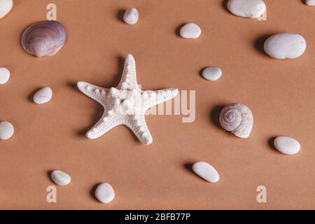 Motif d'été de galets, de coquillages et de étoiles de mer. Fond de tonalité de terre Banque D'Images