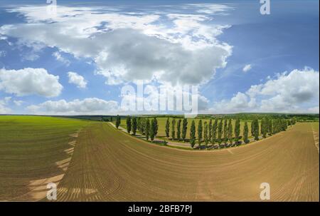 Paysage d'été. Ciel nuageux champs verts et prés jaunes. Banque D'Images