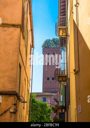 Tour en briques Torre Guinigi avec arbres en chêne sur le toit vue en dessous de la rue étroite dans le centre historique de la vieille ville médiévale Lucca, journée d'été claire, l'EUMC Banque D'Images