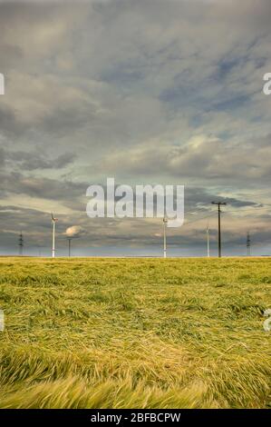 Ciel nuageux spectaculaire sur le champ de maïs avec nuages de pluie sombre et lignes électriques et éoliennes Banque D'Images