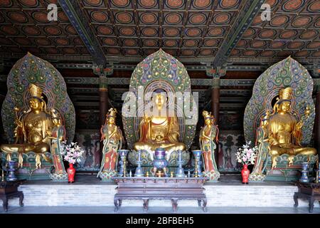 Statues de Bouddha dans le Hall Puguangming, vue intérieure, Temple Huayan, Datong, Shanxi Sheng, Chine Banque D'Images