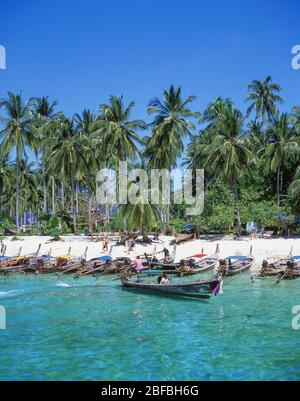 Bateaux à queue longue sur la plage, Ko Phi-Phi Don, îles Phi Phi, province de Krabi, Thaïlande Banque D'Images