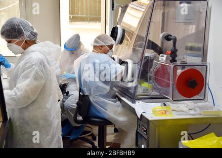 Les travailleurs portant des masques de protection travaillent sur les échantillons de prélèvements de prélèvements de gorge pour les tests de réaction en chaîne de la polymérase (PCR) Covid-19 au laboratoire de virologie clinique.le laboratoire Pasteur, l'un des laboratoires médicaux en Tunisie effectuant des tests de Covid-19, traite en moyenne plus de 300 tests par jour, des personnes qui utilisent le kit de prélèvement à domicile du laboratoire et des échantillons provenant de pratiques médicales locales. La Tunisie compte actuellement plus de 800 cas confirmés d'infection à Covid -19, environ 43 personnes se sont retrouvées et 35 morts. Banque D'Images