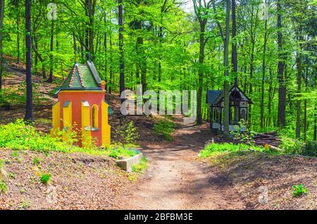 Chapelle ECCE Homo dans la forêt de Slavkov, arbres de hêtre avec feuilles vertes sur les branches dans le bois dense épais de feuillage près de Karlovy Vary (Carlsbad) ville, BOH Ouest Banque D'Images