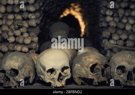 Os et crânes humains. Rangée de crânes. Collection de crânes. Symbole de la mort, de la peur et du mal. Église de Kostnice à Kutna Hora. Banque D'Images