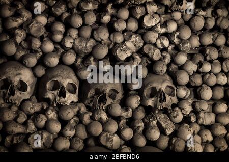 Os et crânes humains. Rangée de crânes. Collection de crânes dans les catacombes. Symbole de la mort, de la peur et du mal. Église de Kostnice à Kutna Hora. Banque D'Images