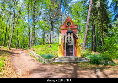 Chapelle ECCE Homo dans la forêt de Slavkov, arbres de hêtre avec feuilles vertes sur les branches dans le bois dense épais de feuillage près de Karlovy Vary (Carlsbad) ville, BOH Ouest Banque D'Images