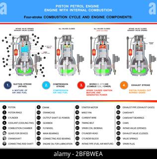 Moteur essence à pistons, section transversale structurelle dans la conception de base pour l'éducation Illustration de Vecteur