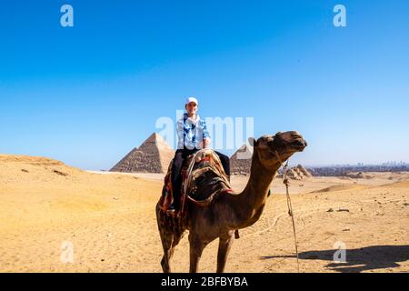 Un adolescent se prépare à faire du chameau au complexe Giza Pyramid, Giza, Egypte. Banque D'Images