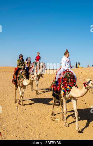 Une famille manèges chameaux au complexe Giza Pyramid, Giza, Egypte. Banque D'Images