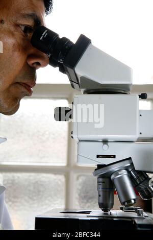 Pathologiste analyse d'un échantillon sous un microscope. Banque D'Images