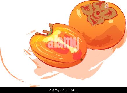 Illustration de style aquarelle persimmons avec une touche de destruction isolée sur fond blanc. Motif carte de vœux vectorielles fruits orange entiers et demi. Dessin à la main de la nourriture exotique clip art. Kaki fruits japonais. Illustration de Vecteur