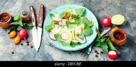 Salade diététique avec concombre, radis, tomate et feuilles d'ortie.alimentation saine.salade de printemps.nourriture végétarienne. Banque D'Images