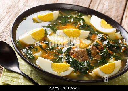 Soupe printanière d'épinards, de pommes de terre, de carottes, d'œufs et de viande dans un bol sur la table. Horizontale Banque D'Images