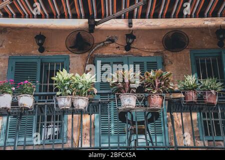 Bâtiment rustique balcon décoré avec des plantes de maison créant un espace de vie calme et relaxant dans le vieux quartier historique ou le quartier français à Hanoi Banque D'Images