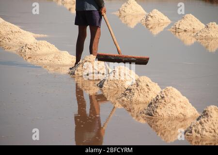 Magnifique paysage de campagne des célèbres champs de sel de Kampot pendant la saison de récolte qui montre la vie réelle, les moyens d'existence et la culture locale de Cam Banque D'Images