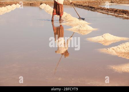 Magnifique paysage de campagne des célèbres champs de sel de Kampot pendant la saison de récolte qui montre la vie réelle, les moyens d'existence et la culture locale de Cam Banque D'Images