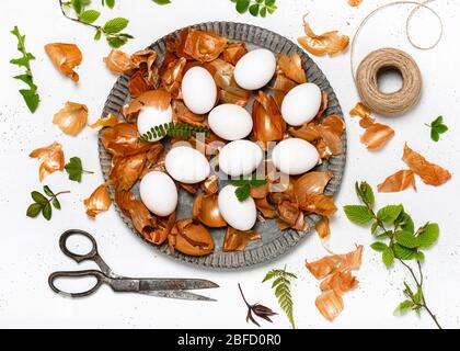 Vue de dessus de la préparation des oeufs de Pâques pour la teinture avec des pelures d'oignon et le motif de feuilles fraîches. Coloration écologique naturelle avec coloration alimentaire. Banque D'Images