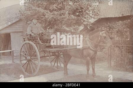 Vintage Edwardian 1907 carte postale photographique d'un grand homme barbu de la circonscription dans son cheval et son chariot. Posté de Bury St Edmunds, Suffolk Banque D'Images