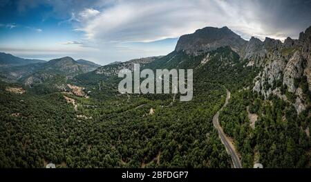 Magnifique paysage sur Majorque par temps venteux avec de nombreux arbres Banque D'Images