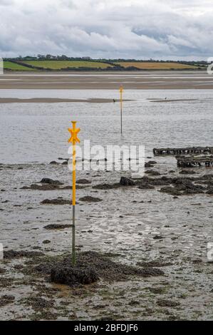 Des marques de navigation jaunes fraîchement peintes dans l'estuaire à marée basse à St Kieran's Quay dans le comté de Wexford. Banque D'Images