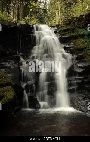 Chute d'eau avant-dernière sur le Nant Bwrefwr. Banque D'Images