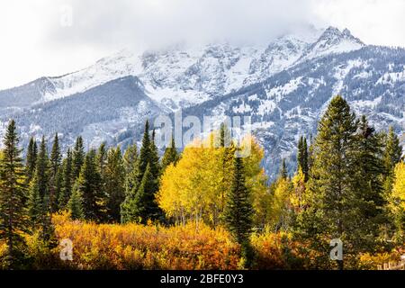 Les montagnes enneigées du sommet du Grand Teton entouré d'arbres colorés à l'automne du parc national du Grand Teton, Wyoming, États-Unis. Banque D'Images