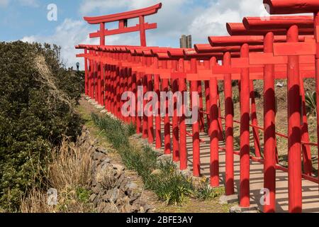 Portes Tori, sanctuaire de Motonosumi, Nagato, Japon Banque D'Images