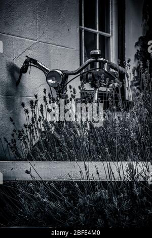 vélo de style ancien noir et blanc dans un jardin de polices Banque D'Images