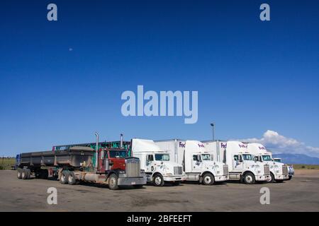 Chariots de livraison FedEx garés en rangée. Vue latérale des cabines et des remorques sur l'autoroute s'arrête sous le ciel bleu. Véhicule américain de livraison de fret de transport Banque D'Images