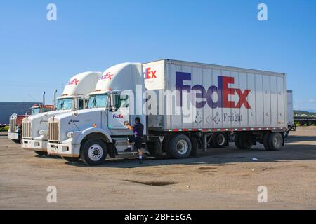 Camion de livraison de fret FedEx avec chauffeur d'employé FedEx grimpant dans la cabine. Les camions sont stationnés au repos, s'arrêtent en Amérique et sont couverts d'un ciel bleu Banque D'Images