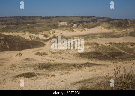 Pelouse couverte, dunes exposées et chemin ou pont dans la réserve naturelle de Merthyr Mawr Banque D'Images