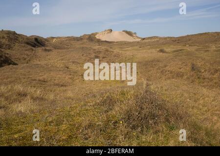 Dune couverte d'herbe et pic découvert dans la réserve naturelle de Merthyr Mawr Banque D'Images