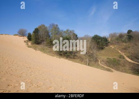 Grande dune de sable de balancier à la réserve naturelle de Merthry Mawr, le printemps est ensoleillé Banque D'Images