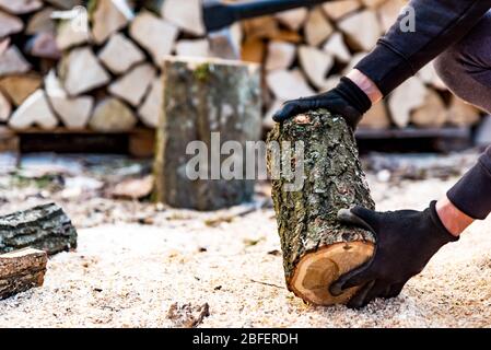 Homme tenant une pièce de bois sur la sciure. Coupe de bois de chauffage. Gros plan du bûcheron au travail à la scierie. Piles de bois haché dans le remou Banque D'Images