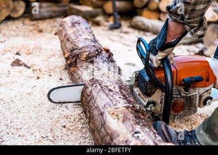 Coupe-bois travaillant avec une tronçonneuse dans une scierie. Homme coupant des grumes de bois de chauffage. Gros plan du bûcheron, de la tronçonneuse en mouvement, coupant du bois et de la sciure Banque D'Images