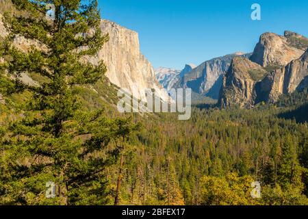 Point de vue sur le tunnel dans le parc national de Yosemite avec El Capitan, Cathedral Rocks et le Half Dome en arrière-plan Banque D'Images