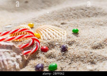 canne à sucre, coquillages et bonbons au chocolat colorés sur la plage de sable. Banque D'Images