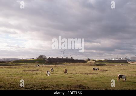 Fort de Tilbury fortification historique de l'artillerie sur la rive nord de la Tamise dans l'Essex construite pour la première fois par le roi Henry VIII Banque D'Images