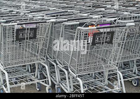 Des dizaines de chariots vides derrière un arrêt et boutique dans le centre commercial Bay Terrace à Bayside, Queens, New York. Banque D'Images