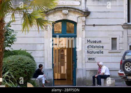 Musée d'Histoire naturelle à Nîmes, France, Europe Banque D'Images
