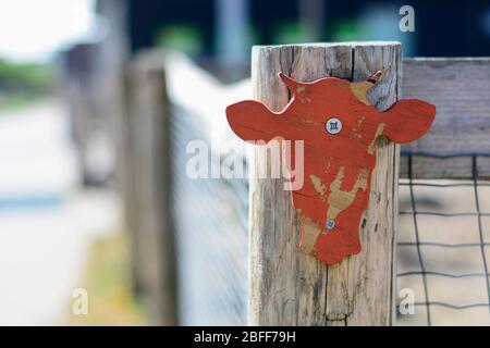 Tête de vache en bois à l'eau orange fixée à une clôture à l'entrée d'un zoo pour enfants Banque D'Images