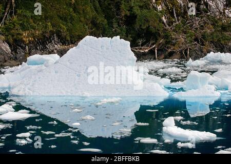 Glacier Fernando dans Fjord Calvo sur le bord de la Manche Sarmiento dans le parc national de Bernardo O'Higgins à Patagonia Chile fjords près de Puerto Natales Banque D'Images