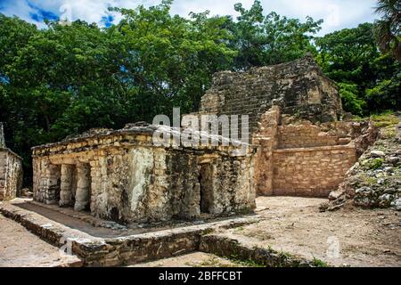 Ancienne bâtisse maya Chunyaxche Muyil Maya ruines, forêt tropicale près de Tulum, péninsule du Yucatan, Quintana Roo, Mexique Banque D'Images