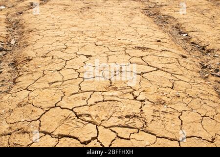 Fissure jaune séchée. Problème environnemental sécheresse et soif. Gros plan. Banque D'Images